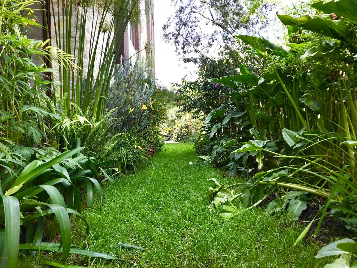 Ilalo Garden Hotel & Restaurant Quito Buitenkant foto